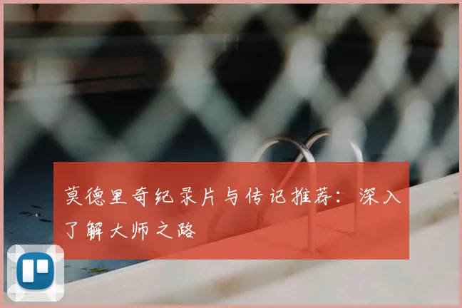莫德里奇纪录片与传记推荐:深入了解大师之路